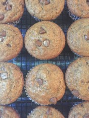 Nigella Lawson's Chocolate Chocolate Chip Muffins