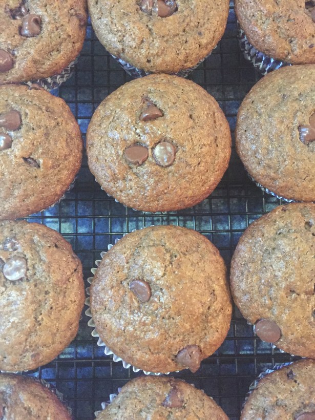 Nigella Lawson's Chocolate Chocolate Chip Muffins