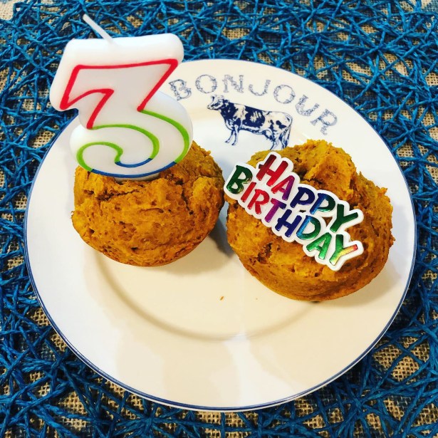 Pumpkin Peanut Butter Doggo Birthday Cakes