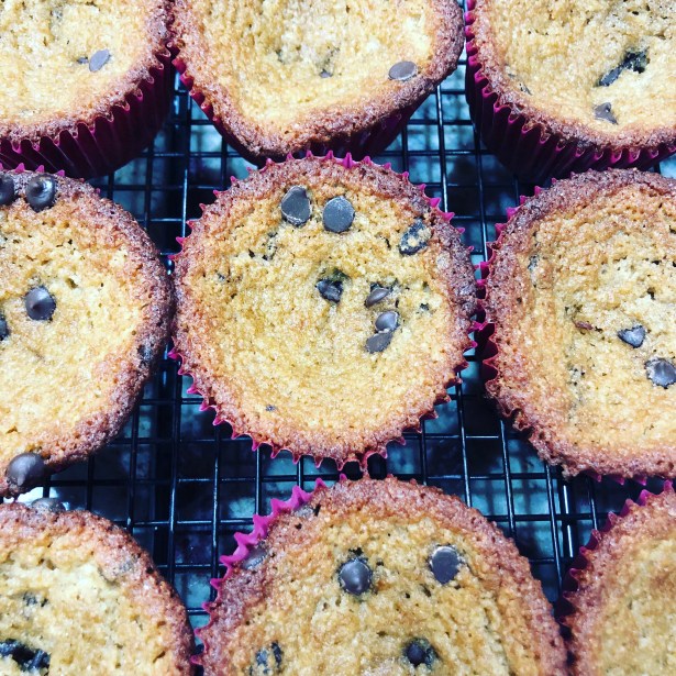 Healthy Bakery Style Chocolate Chip Muffins