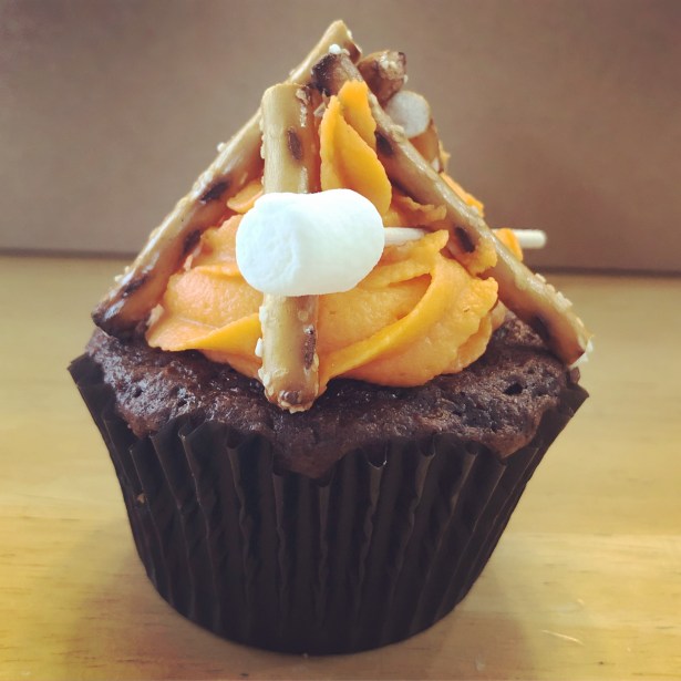 Chocolate Chocolate Chip Cupcakes