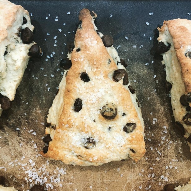 Bakery Style Cream Scones with Milk Chocolate