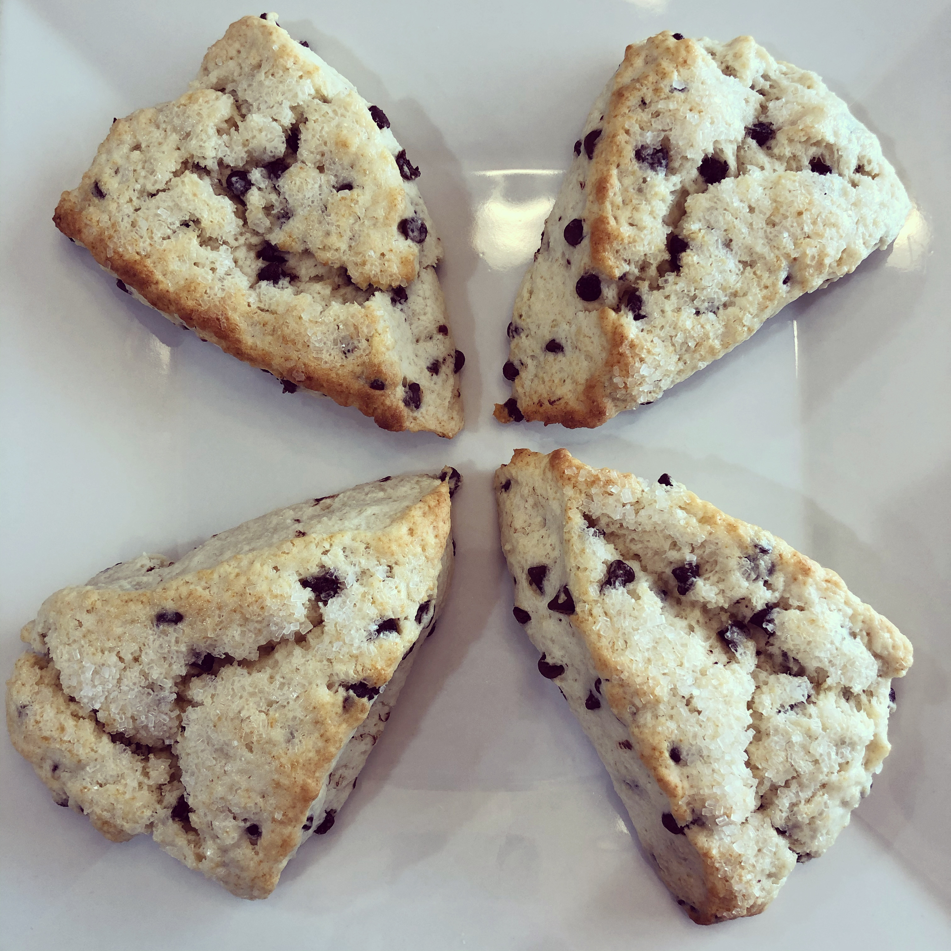 Easy Chocolate Chip Scones