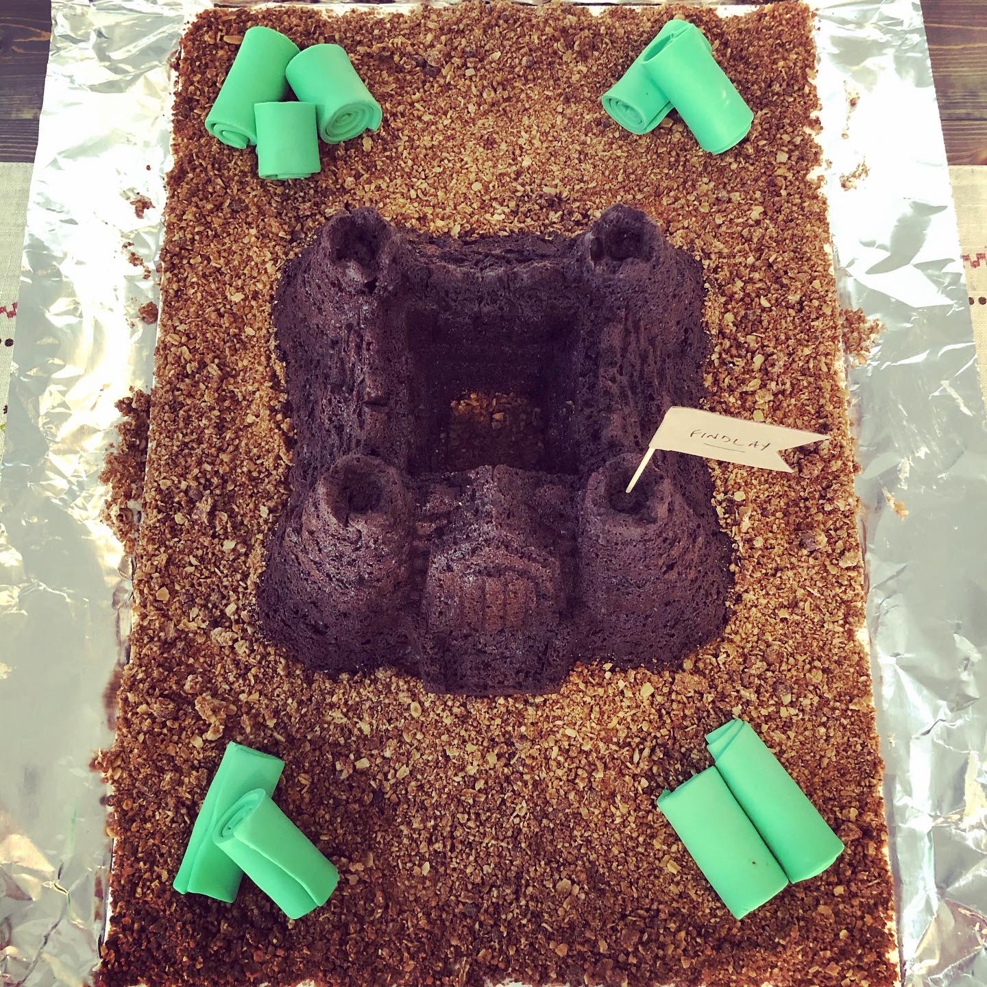 Our Home is still a Castle even though we don't have any Grass Birthday Cake